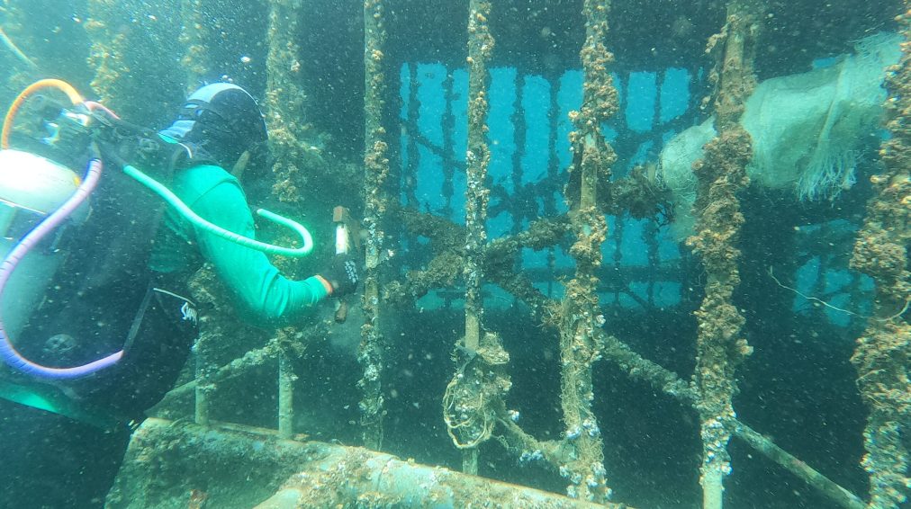DCIM103GOPROGOPR2056.JPG