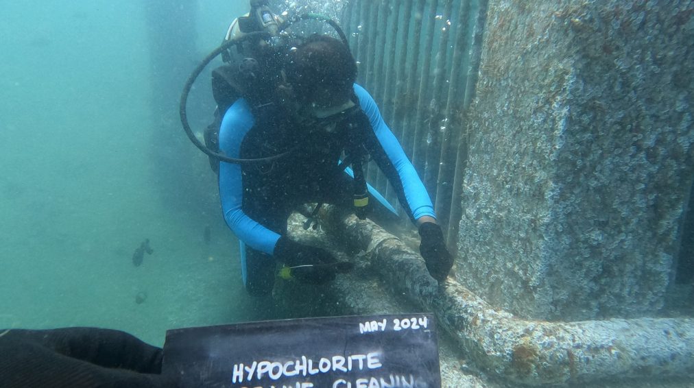 DCIM100GOPROGOPR4853.JPG